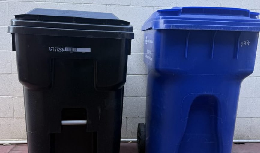 Bin Cleaning